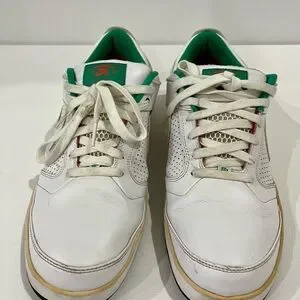 Nike | Shoes | Nike Zoom Sb P Rodpaul Rodriguez 4 White  display picture 1